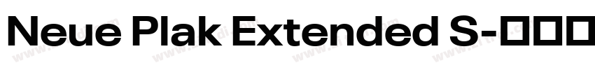 Neue Plak Extended S字体转换 Neue Plak Extended S字体转换
